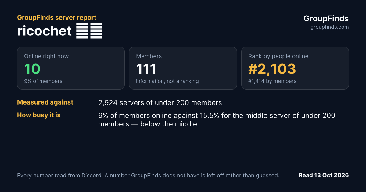 ricochet 🐇🤍's GroupFinds server report