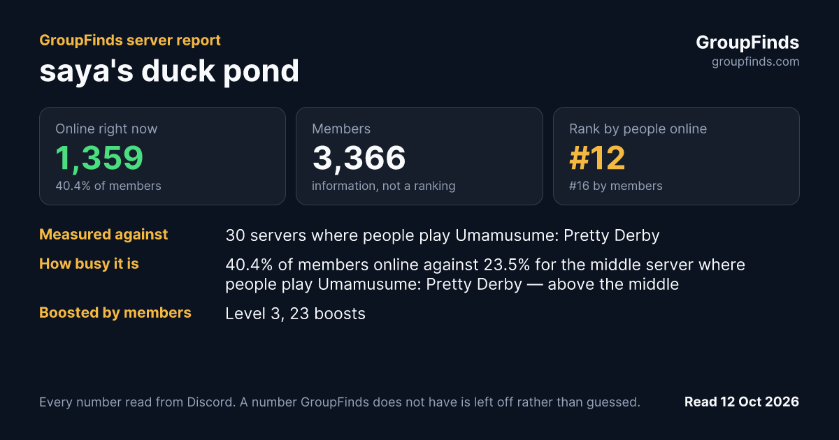 saya's duck pond's GroupFinds server report