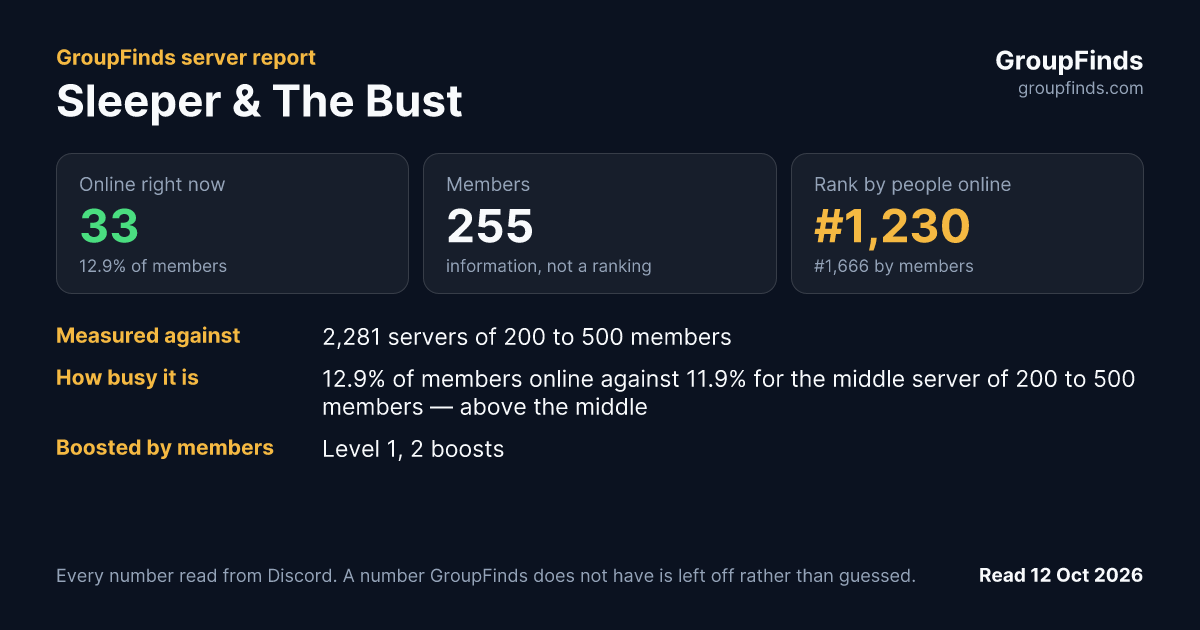 Sleeper & The Bust's GroupFinds server report