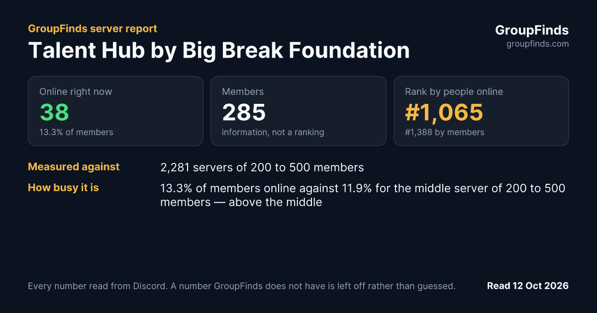 Talent Hub by Big Break Foundation's GroupFinds server report