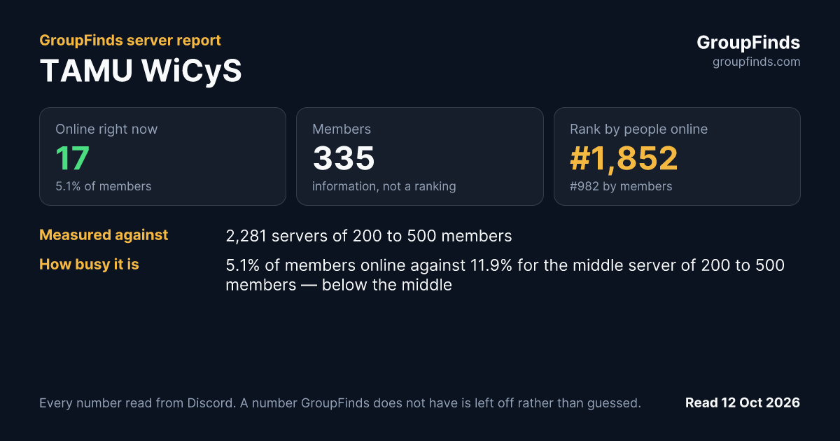 TAMU WiCyS's GroupFinds server report