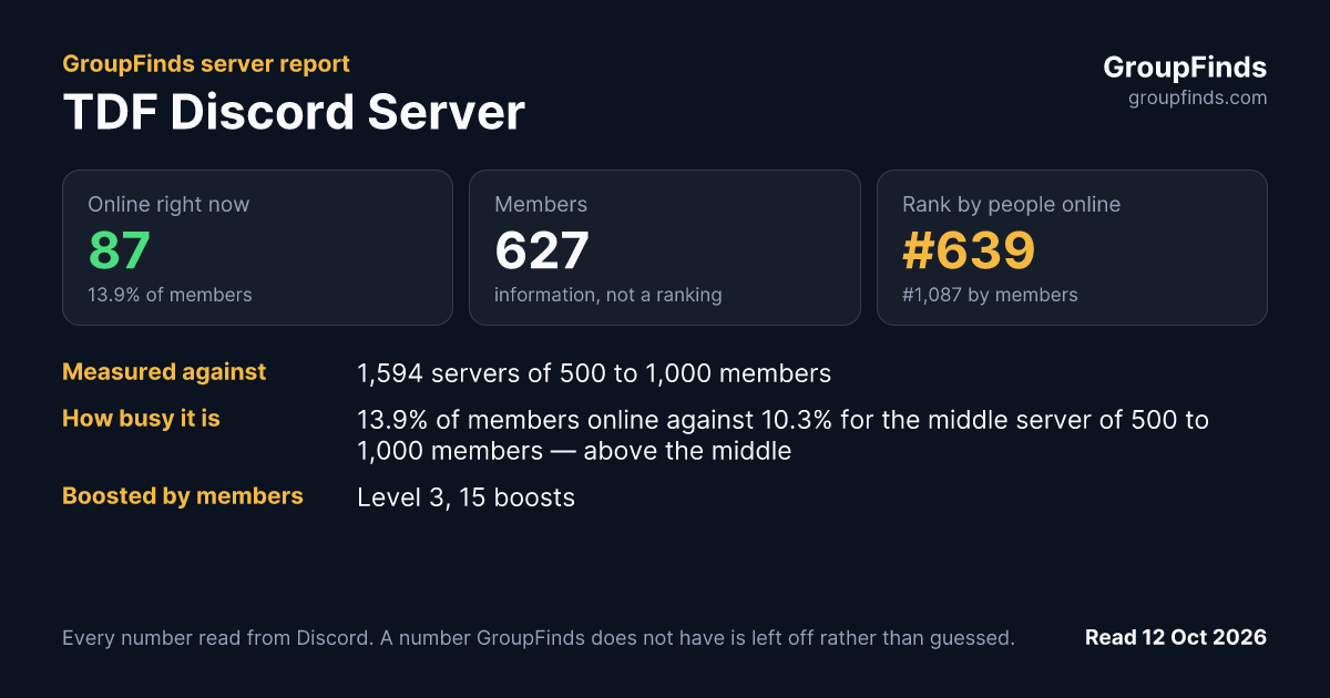 TDF Discord Server's GroupFinds server report