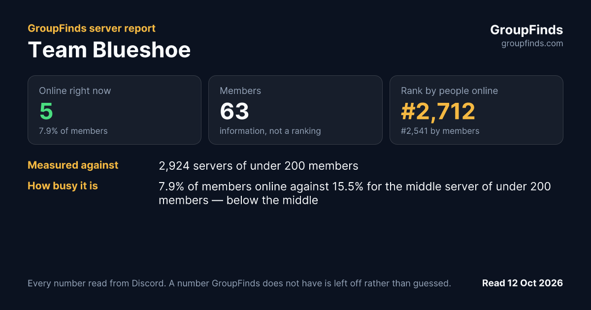 Team Blueshoe's GroupFinds server report