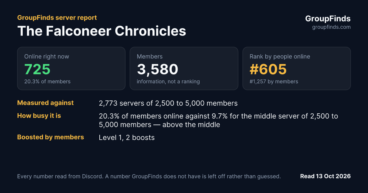 The Falconeer Chronicles's GroupFinds server report
