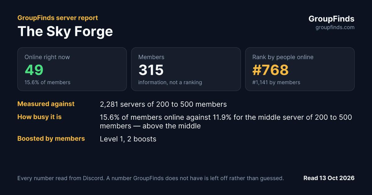 The Sky Forge's GroupFinds server report