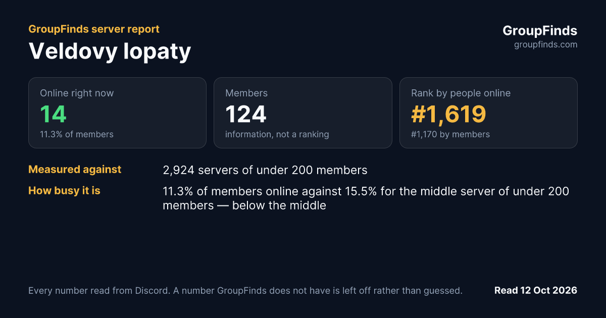 Veldovy lopaty's GroupFinds server report
