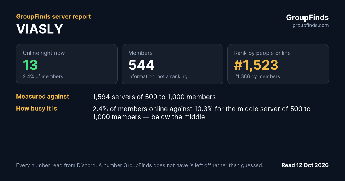 VIASLY's GroupFinds server report