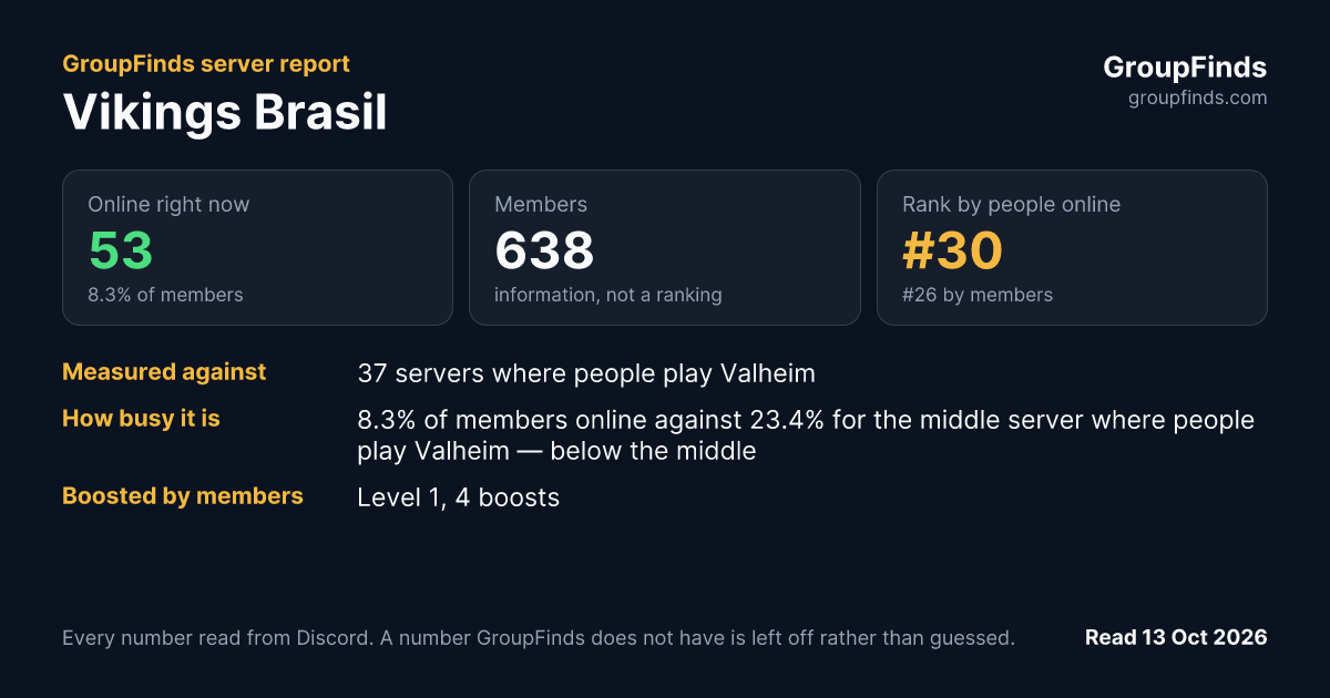 Vikings Brasil's GroupFinds server report