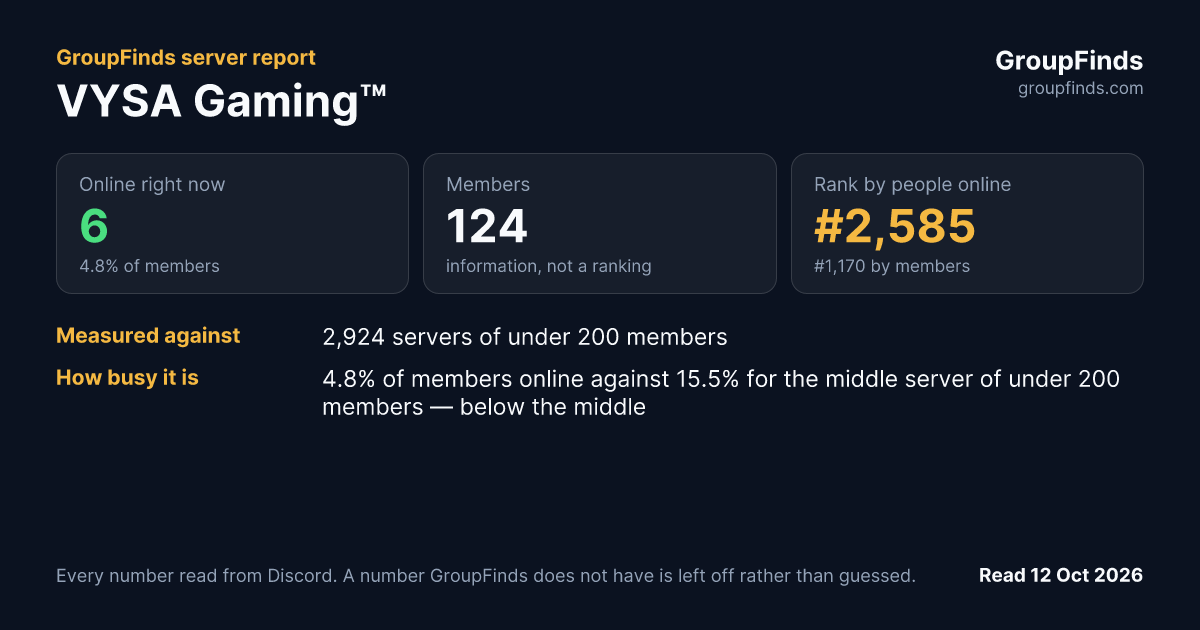 VYSA Gaming™'s GroupFinds server report