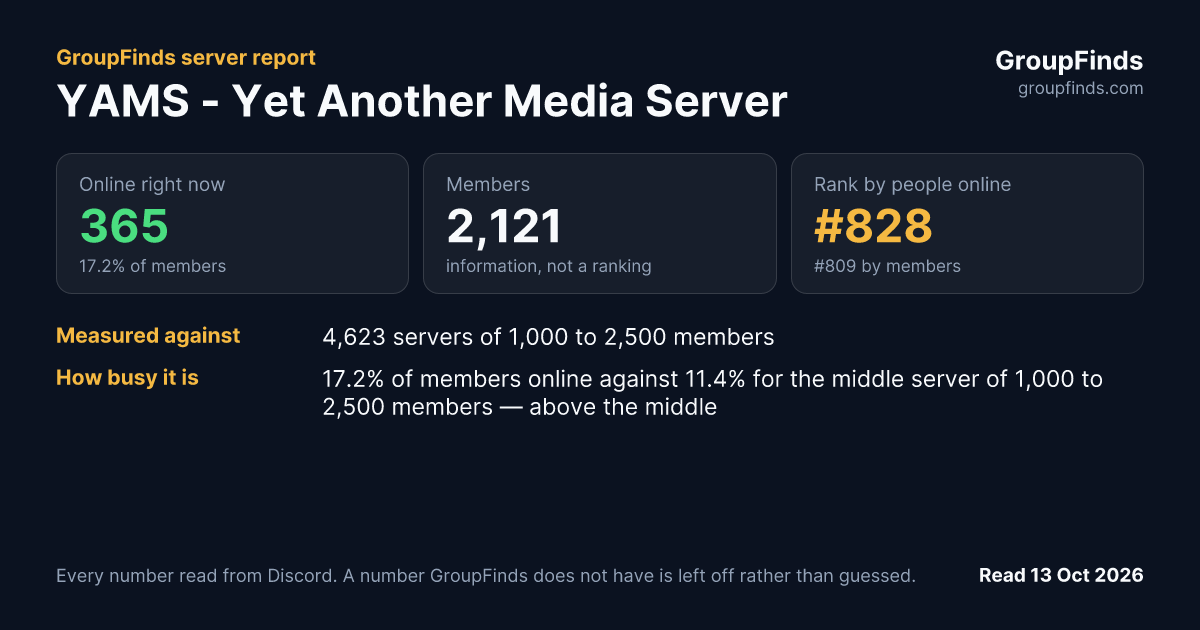 YAMS - Yet Another Media Server's GroupFinds server report