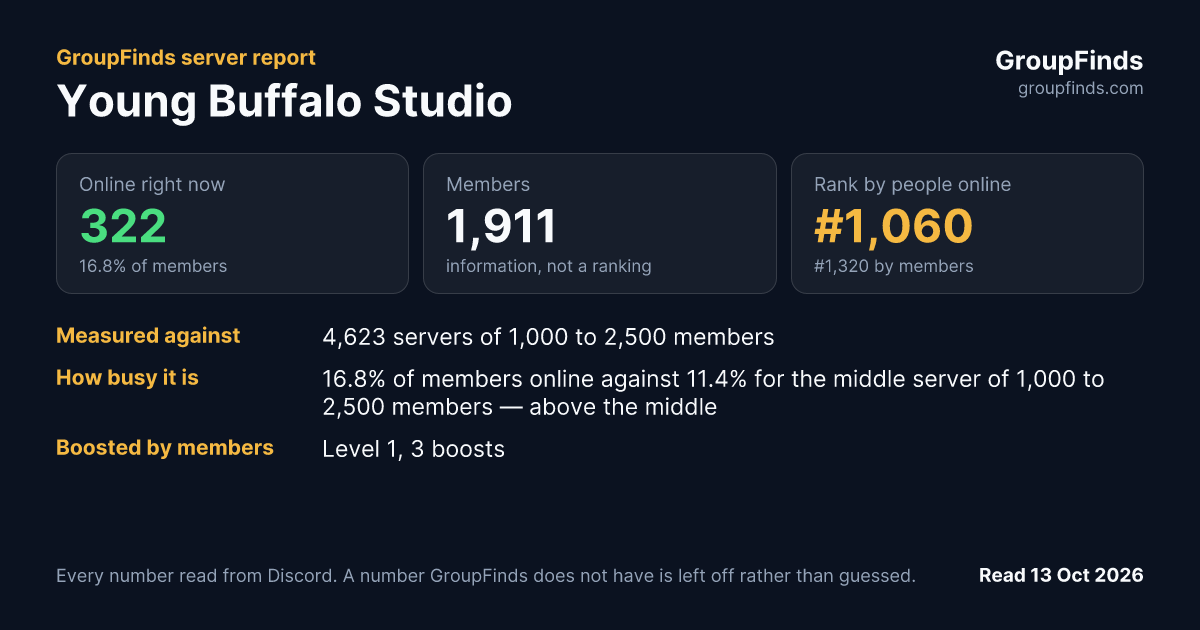 Young Buffalo Studio's GroupFinds server report