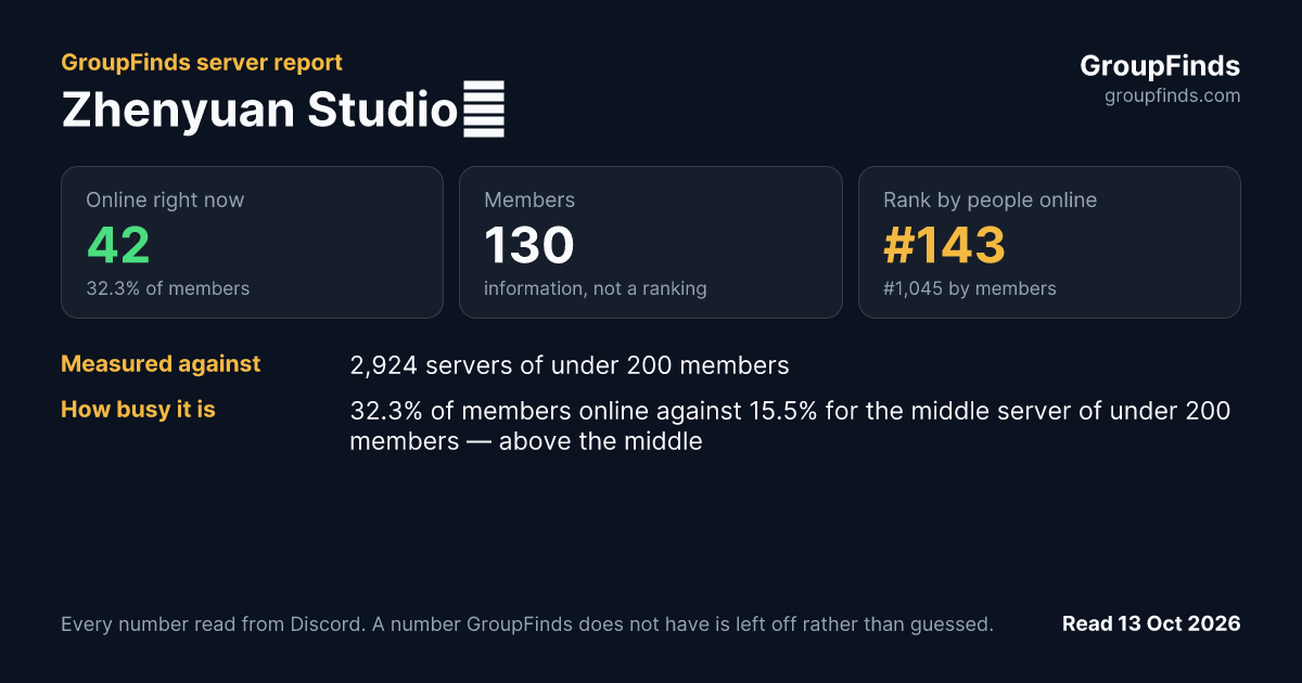 Zhenyuan Studio💫's GroupFinds server report