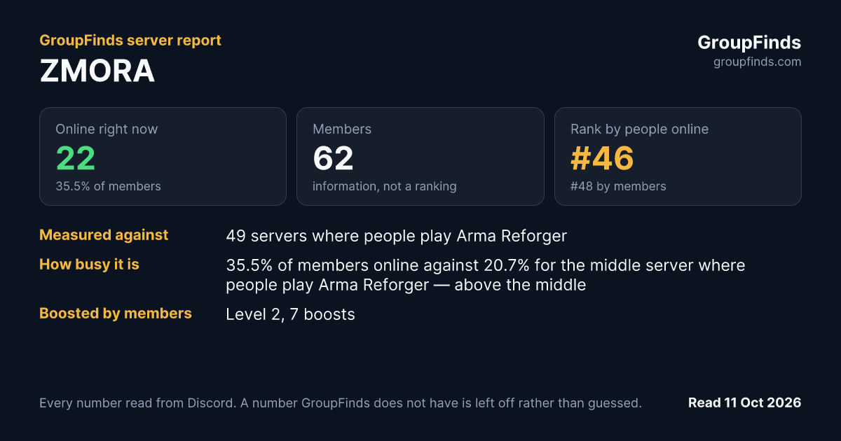ZMORA's GroupFinds server report